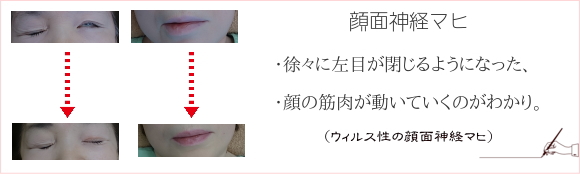 ��ʐ_�o�}�q�A�I������-�Ǘ�